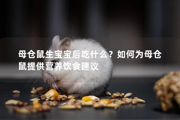 母仓鼠生宝宝后吃什么？如何为母仓鼠提供营养饮食建议