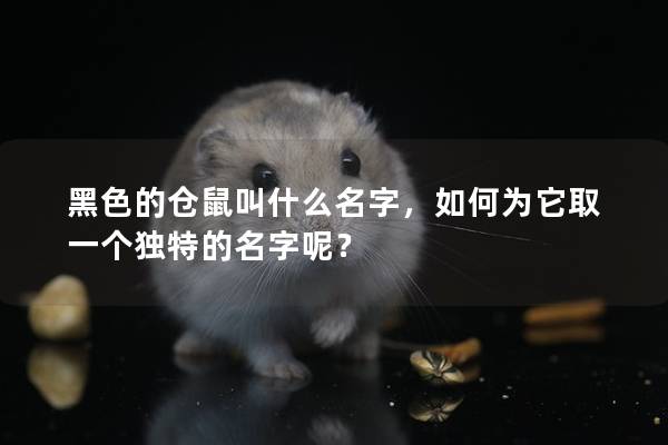 黑色的仓鼠叫什么名字，如何为它取一个独特的名字呢？