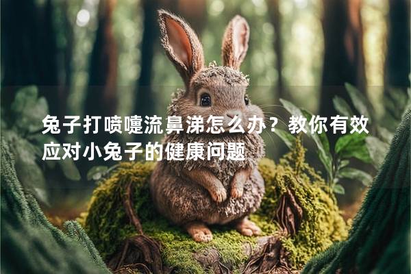 兔子打喷嚏流鼻涕怎么办？教你有效应对小兔子的健康问题