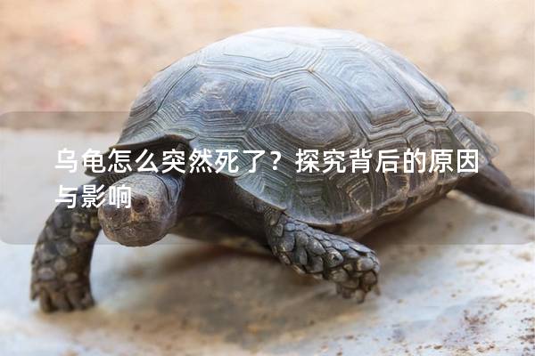 乌龟怎么突然死了？探究背后的原因与影响