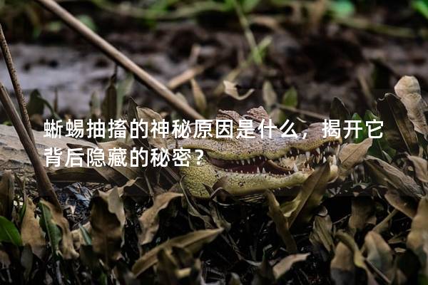 蜥蜴抽搐的神秘原因是什么，揭开它背后隐藏的秘密？