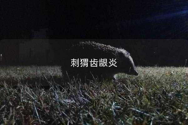 刺猬齿龈炎