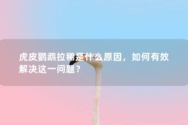 虎皮鹦鹉拉稀是什么原因，如何有效解决这一问题？