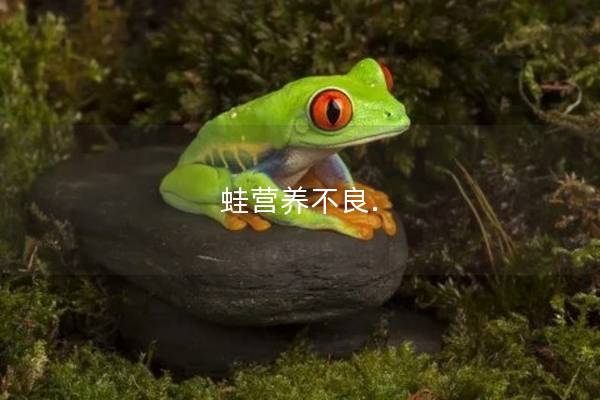 蛙营养不良.