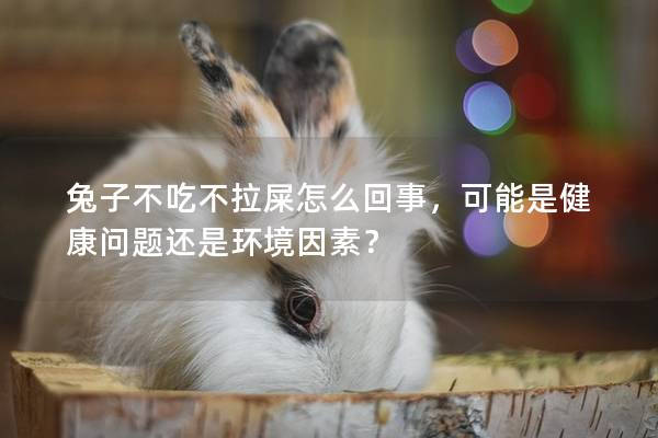 兔子不吃不拉屎怎么回事，可能是健康问题还是环境因素？