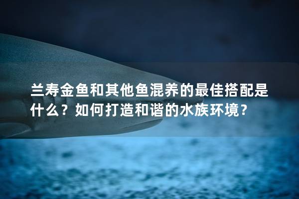 兰寿金鱼和其他鱼混养的最佳搭配是什么？如何打造和谐的水族环境？