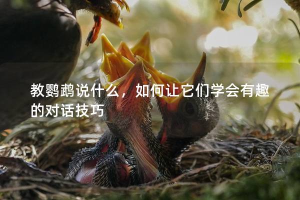 教鹦鹉说什么，如何让它们学会有趣的对话技巧