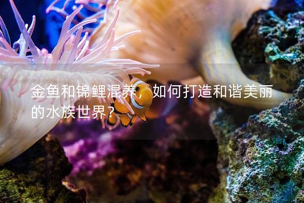 金鱼和锦鲤混养，如何打造和谐美丽的水族世界？