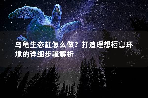 乌龟生态缸怎么做？打造理想栖息环境的详细步骤解析