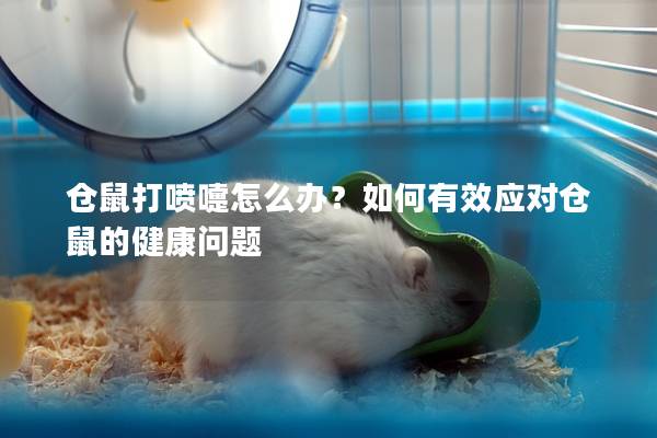 仓鼠打喷嚏怎么办？如何有效应对仓鼠的健康问题