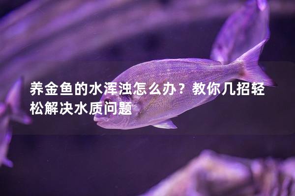 养金鱼的水浑浊怎么办？教你几招轻松解决水质问题