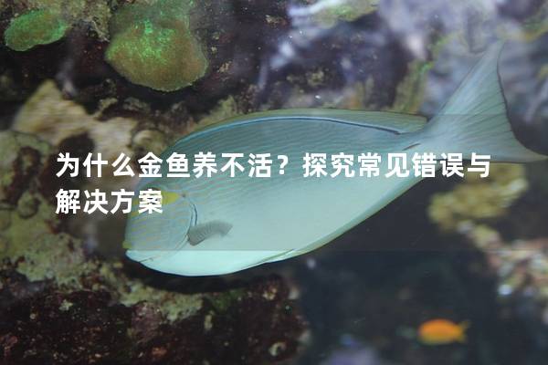 为什么金鱼养不活？探究常见错误与解决方案