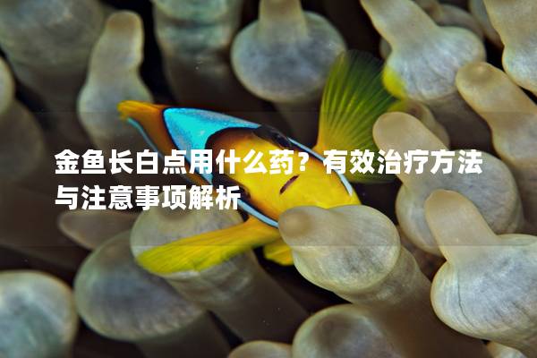 金鱼长白点用什么药？有效治疗方法与注意事项解析