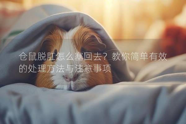 仓鼠脱肛怎么塞回去？教你简单有效的处理方法与注意事项