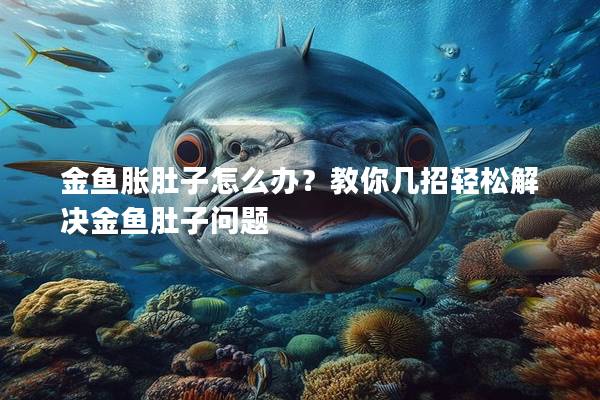 金鱼胀肚子怎么办？教你几招轻松解决金鱼肚子问题