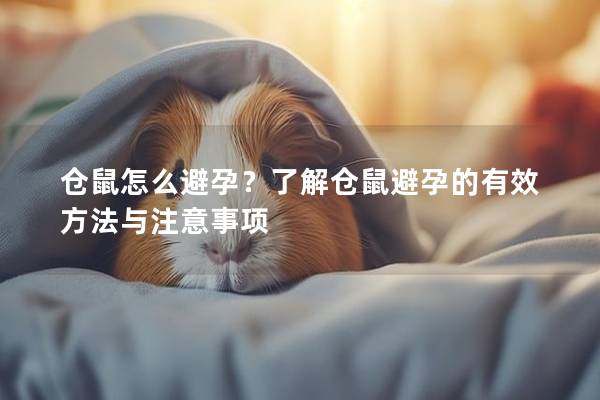 仓鼠怎么避孕？了解仓鼠避孕的有效方法与注意事项