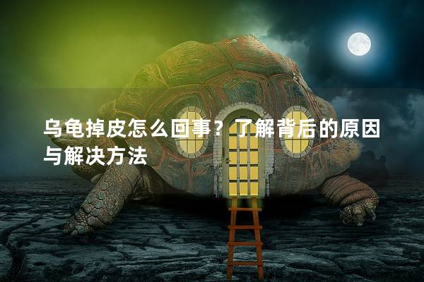 乌龟掉皮怎么回事？了解背后的原因与解决方法