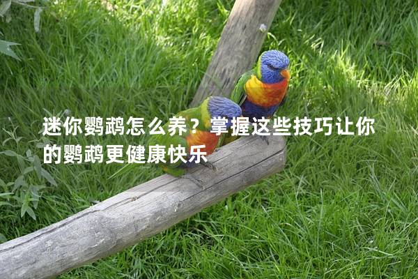 迷你鹦鹉怎么养？掌握这些技巧让你的鹦鹉更健康快乐