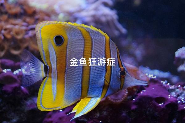 金鱼狂游症