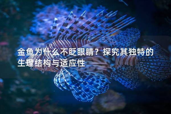 金鱼为什么不眨眼睛？探究其独特的生理结构与适应性