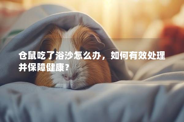 仓鼠吃了浴沙怎么办，如何有效处理并保障健康？