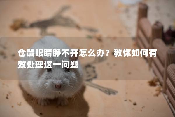 仓鼠眼睛睁不开怎么办？教你如何有效处理这一问题