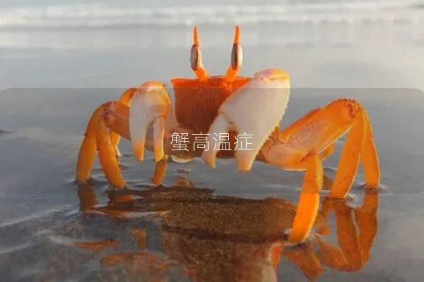 蟹高温症