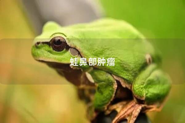 蛙鼻部肿瘤