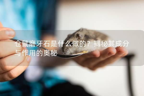 仓鼠磨牙石是什么做的？揭秘其成分与作用的奥秘