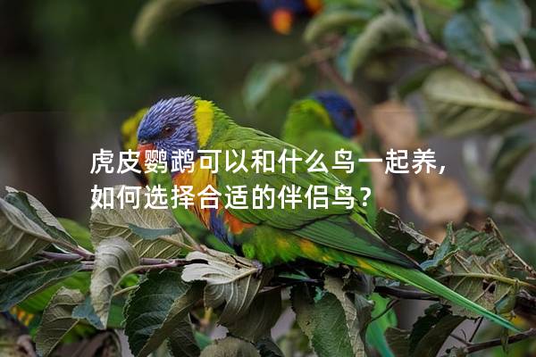 虎皮鹦鹉可以和什么鸟一起养, 如何选择合适的伴侣鸟？