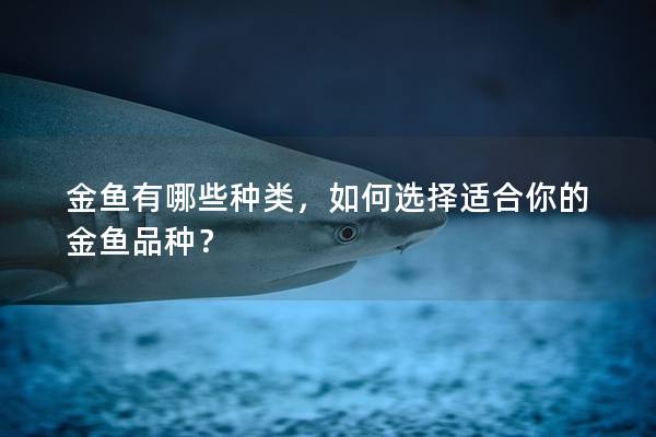 金鱼有哪些种类，如何选择适合你的金鱼品种？