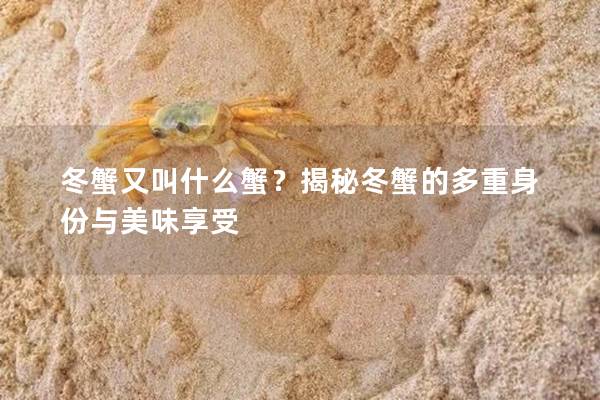 冬蟹又叫什么蟹？揭秘冬蟹的多重身份与美味享受