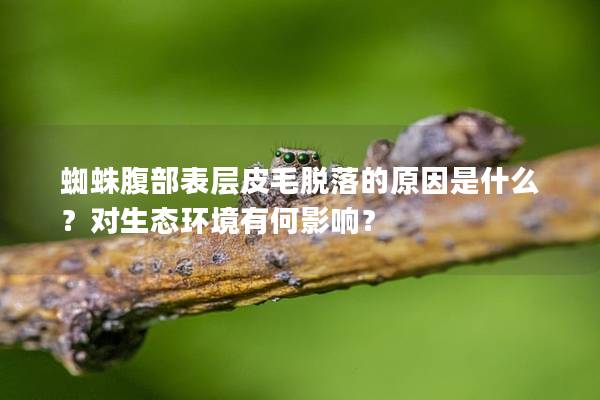 蜘蛛腹部表层皮毛脱落的原因是什么？对生态环境有何影响？