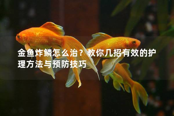 金鱼炸鳞怎么治？教你几招有效的护理方法与预防技巧