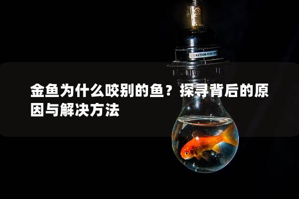 金鱼为什么咬别的鱼？探寻背后的原因与解决方法