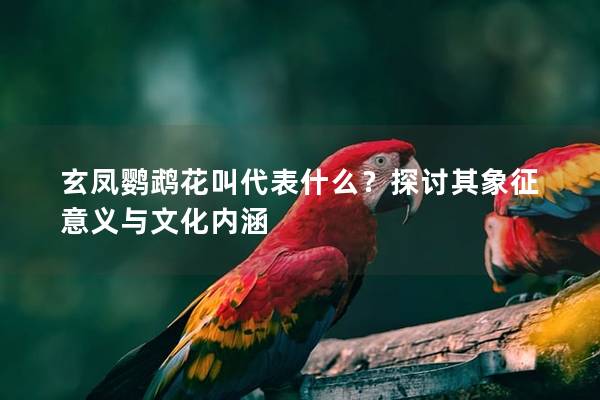 玄凤鹦鹉花叫代表什么？探讨其象征意义与文化内涵