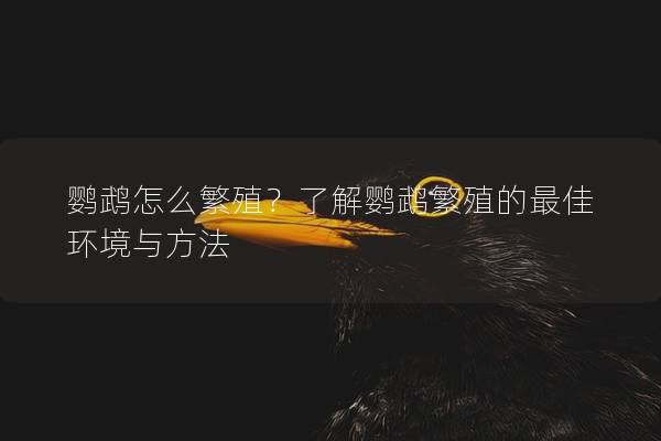 鹦鹉怎么繁殖？了解鹦鹉繁殖的最佳环境与方法