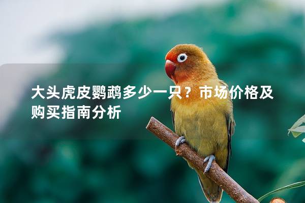 大头虎皮鹦鹉多少一只？市场价格及购买指南分析