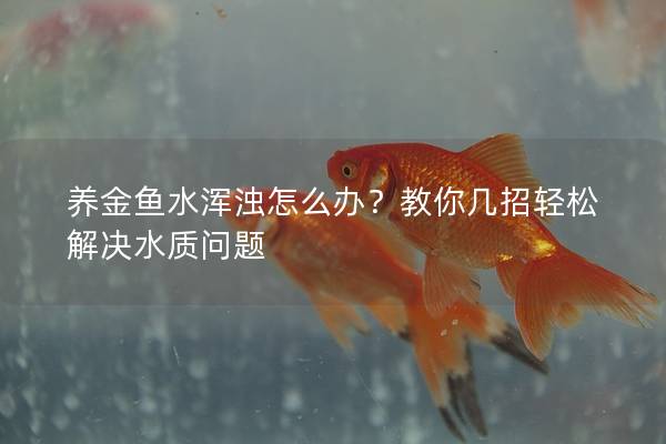 养金鱼水浑浊怎么办？教你几招轻松解决水质问题