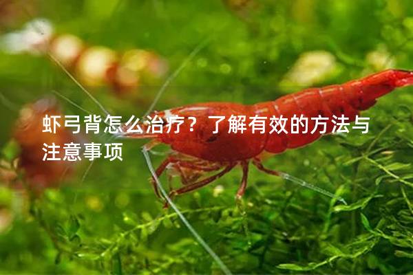 虾弓背怎么治疗？了解有效的方法与注意事项