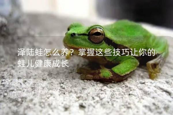 泽陆蛙怎么养？掌握这些技巧让你的蛙儿健康成长