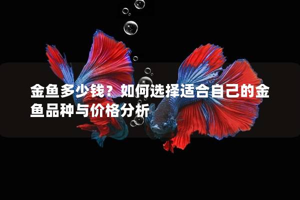 金鱼多少钱？如何选择适合自己的金鱼品种与价格分析