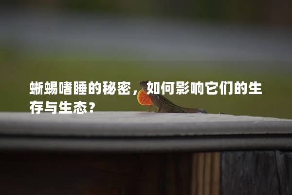 蜥蜴嗜睡的秘密，如何影响它们的生存与生态？