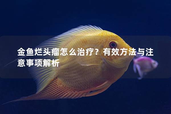 金鱼烂头瘤怎么治疗？有效方法与注意事项解析