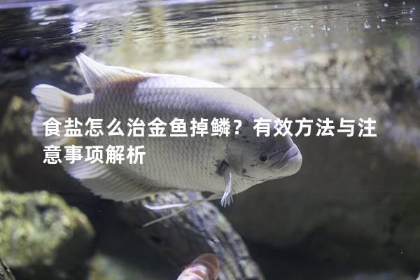 食盐怎么治金鱼掉鳞？有效方法与注意事项解析