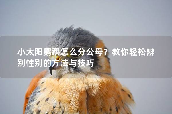 小太阳鹦鹉怎么分公母？教你轻松辨别性别的方法与技巧