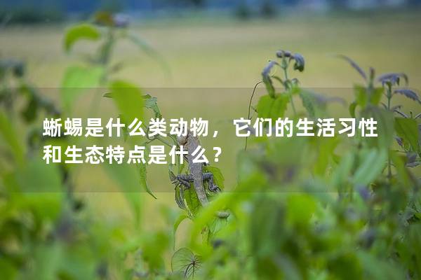 蜥蜴是什么类动物，它们的生活习性和生态特点是什么？