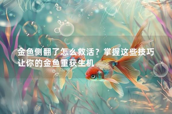 金鱼侧翻了怎么救活？掌握这些技巧让你的金鱼重获生机