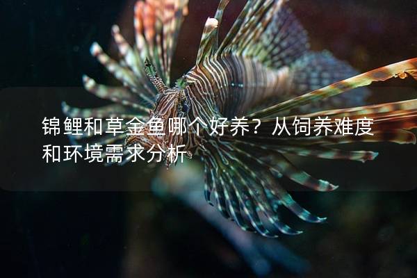 锦鲤和草金鱼哪个好养？从饲养难度和环境需求分析