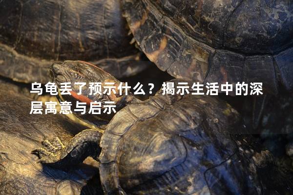 乌龟丢了预示什么？揭示生活中的深层寓意与启示